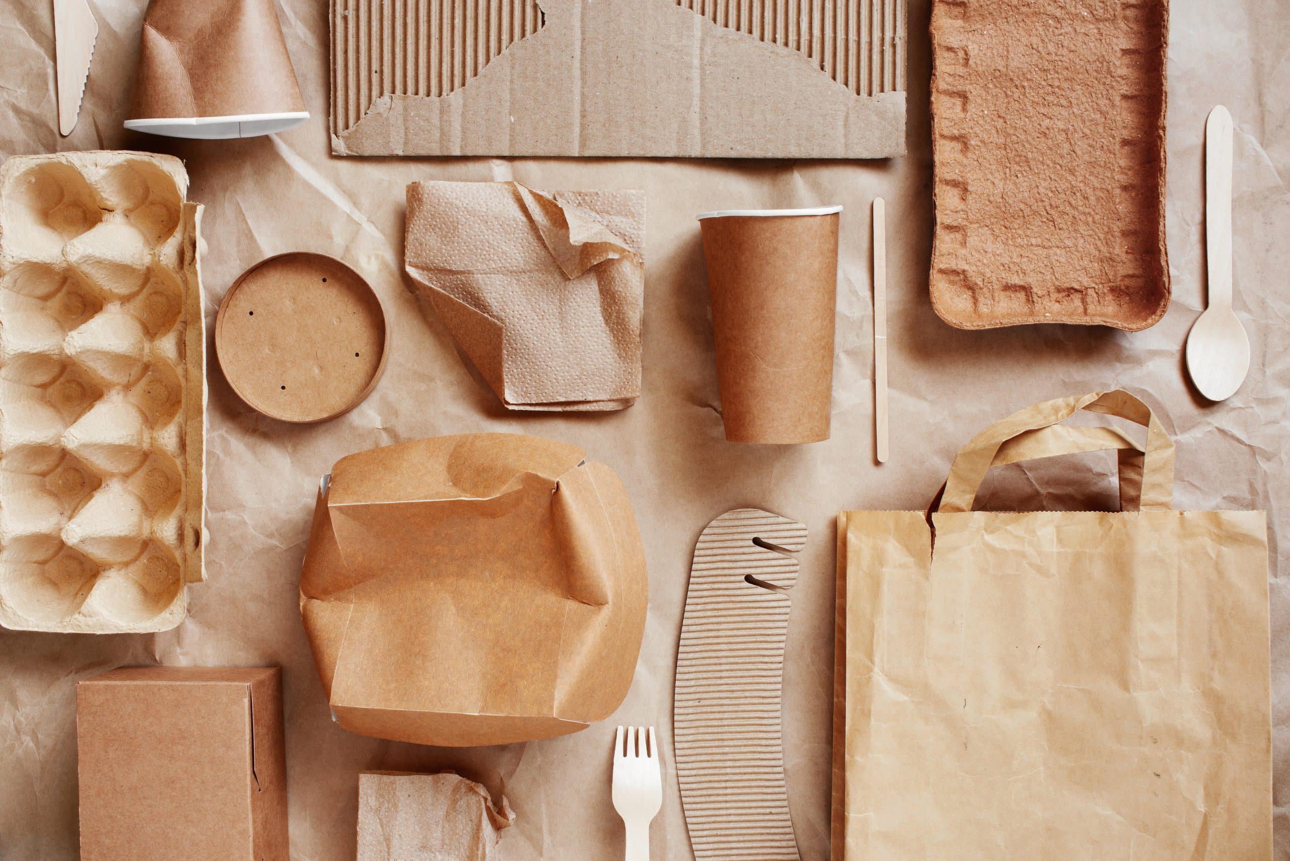 emballage a usage unique pour alimentaire